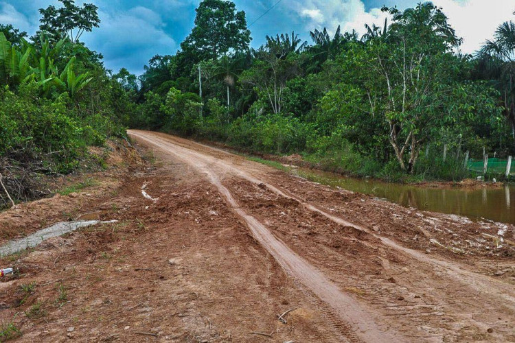 AGU consegue bloqueio de R$ 95,6 milhões de acusados por desmatamento