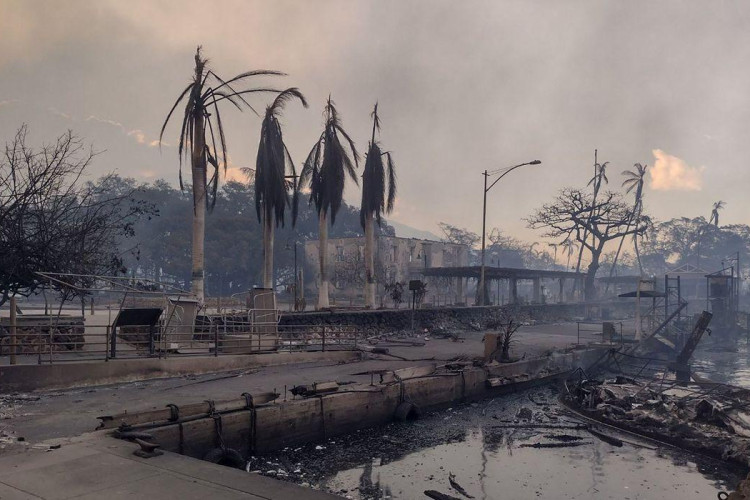 Número de mortos em incêndios no Havaí chega a mais de 100