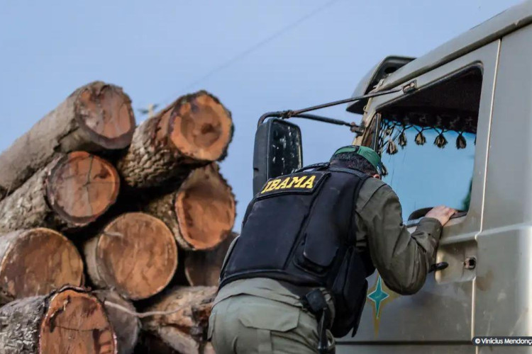 Servidores do Ibama prometem suspender fiscalização ambiental