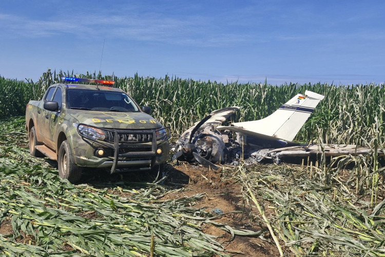 FRONTEIRA: Gefron apreende cerca de 500 kg de entorpecente perto de aeronave queimada