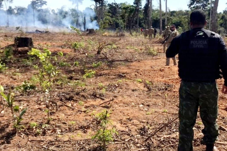 Polícia Civil já prendeu 16 pessoas por fazerem queimadas em florestas em MT