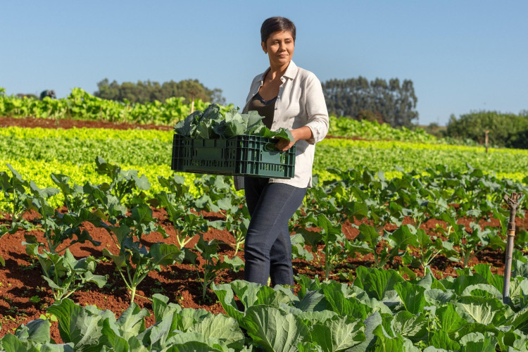 Sicredi reforça financiamento de projetos sustentáveis e amplia carteira de crédito para economia verde