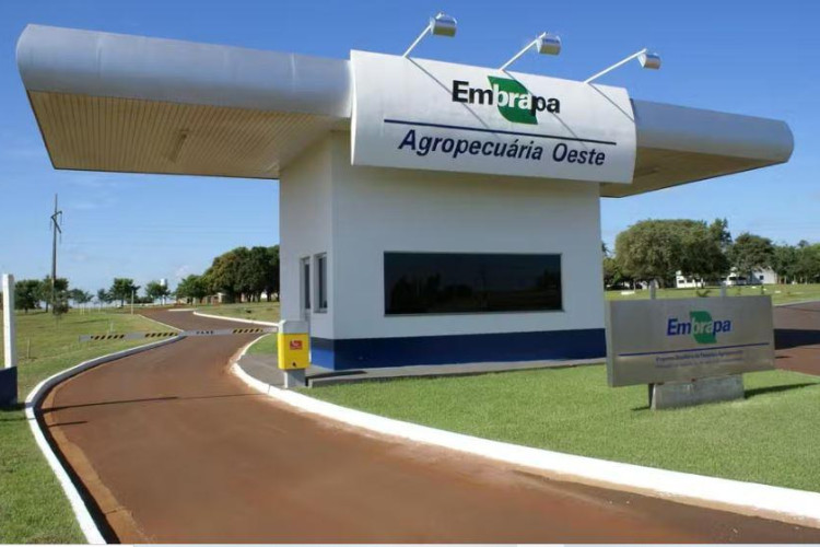 MT tem mais de 40 vagas para concurso da Embrapa; inscrições começam nesta segunda-feira