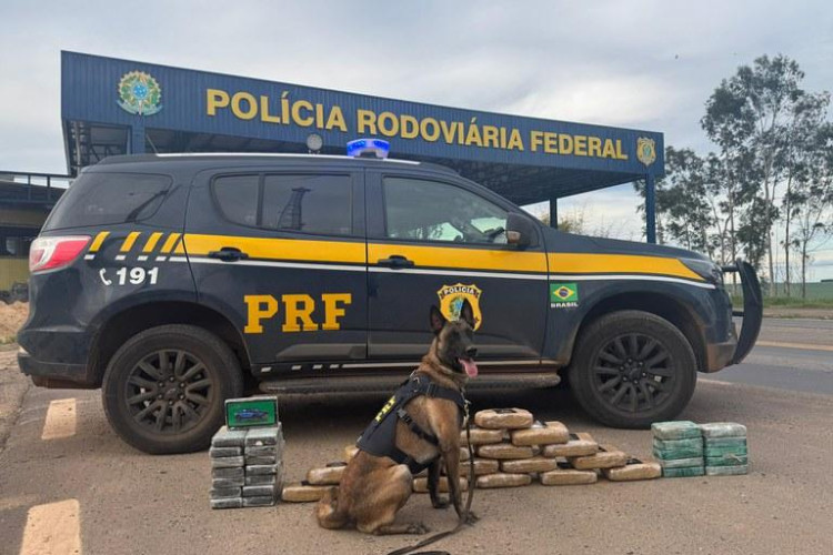 PRF encontra mais de 46 kg de drogas escondidas sob cama de caminhão na BR-364