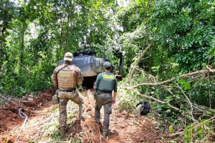 PF, em ação conjunta com forças de segurança e de fiscalização, combate crimes ambientais na Terra Indígena Sararé