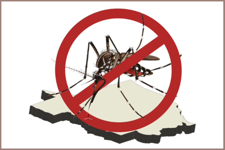 MPMT notifica municípios para combaterem dengue, chicungunya e zika