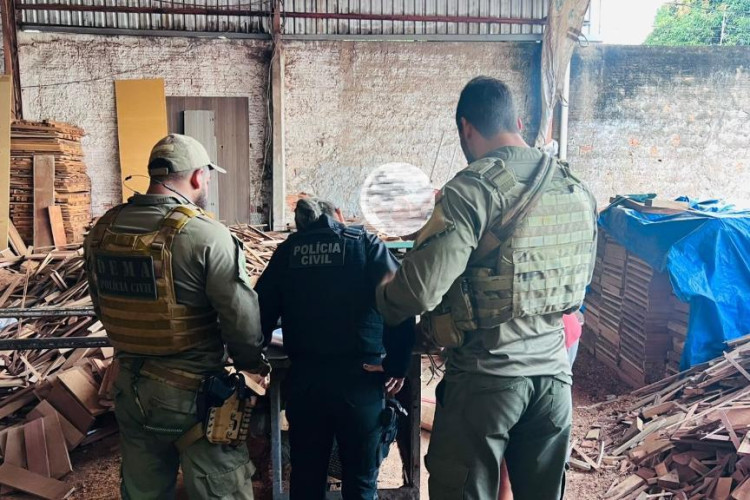 Polícia Civil cumpre mandados e desarticula grupo envolvido em crime ambiental e lavagem de dinheiro