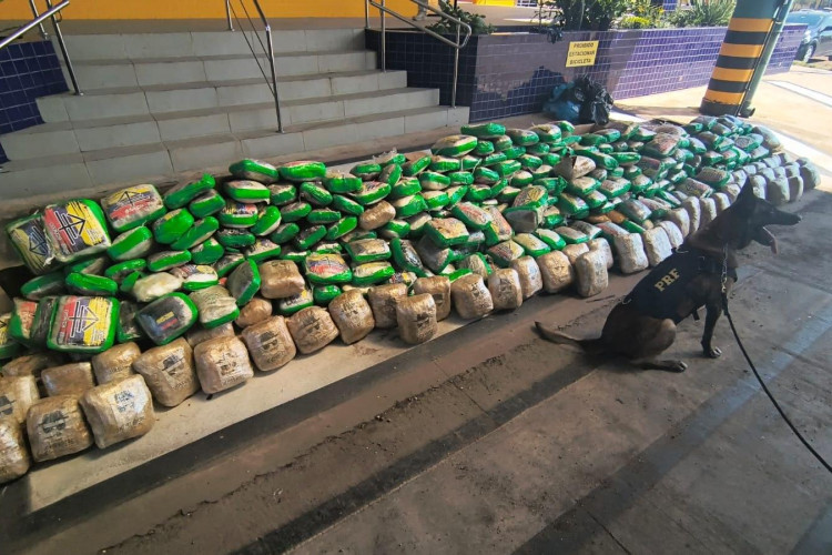 PRF apreende mais de 300 kg de drogas durante abordagem na BR-364 em Mato Grosso