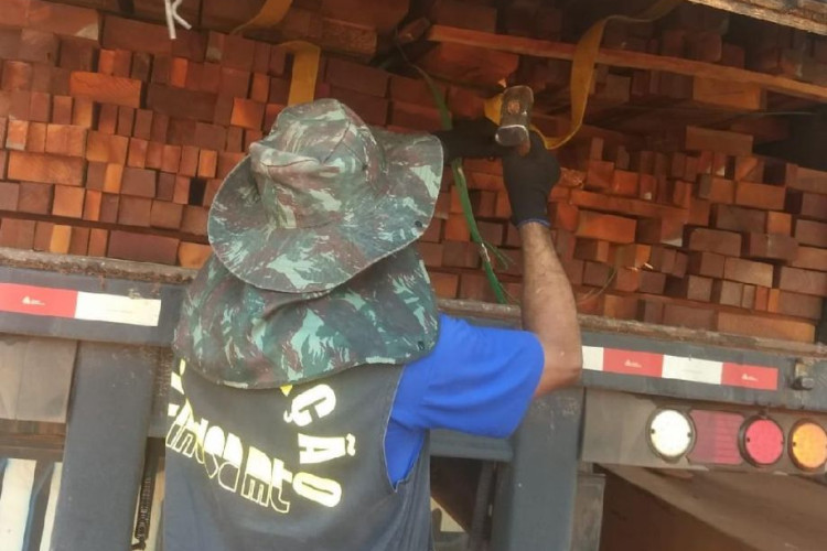 Ações conjuntas do Indea geram apreensão de 342 caminhões com transporte ilegal de madeira