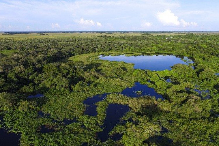 Ações de compensação ambiental somam mais de R$ 319 milhões