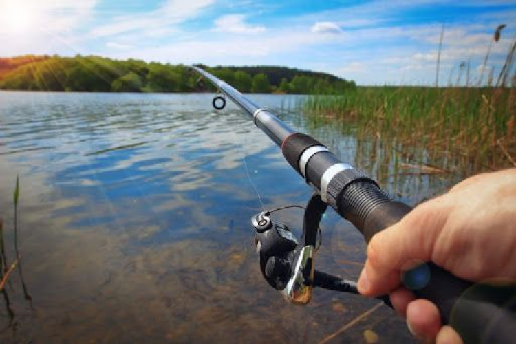 Assembleia Legislativa de Mato Grosso promulga lei que endurece penalidades para pesca predatória