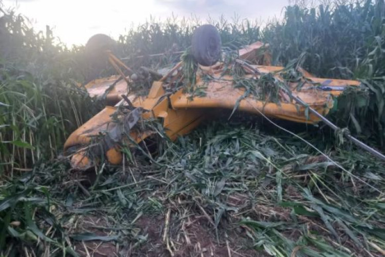 Avião agrícola bate em fio de alta tensão e cai em plantação em MT