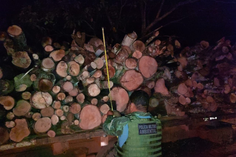 Batalhão Ambiental prende homem por extração e transporte ilegal de madeira