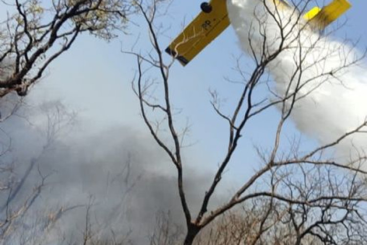 Bombeiros e brigadistas atuam dia e noite para conter fogo que já destruiu 5 mil hectares em Chapada dos Guimarães (MT)
