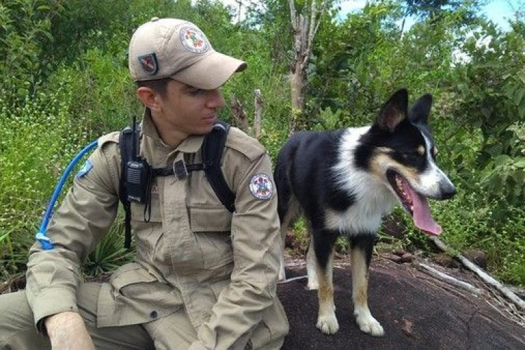 Cão Luke viaja para Petrópolis com bombeiros de MT para ajudar nas buscas por desaparecidos