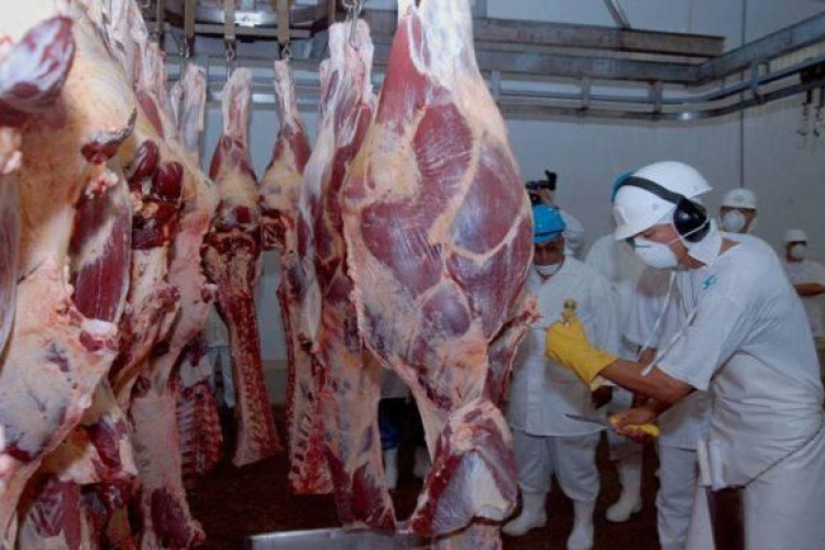 Carne bovina: exportações para China seguirão aquecidas em 2022