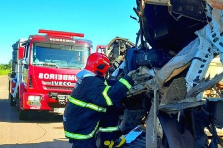 Carretas batem de frente e motorista morre preso às ferragens