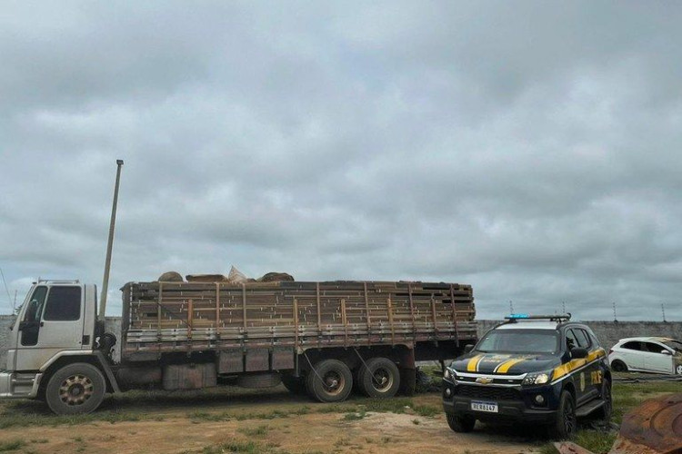 Cerca de 200m³ de madeira ilegal foram apreendidos pela PRF no Mato Grosso esta semana
