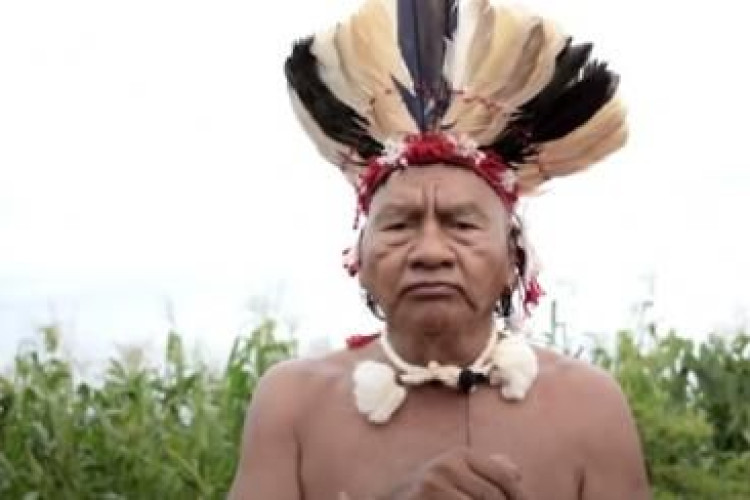 Conselho culpa governo por cacique que 'alugava' terras a fazendeiros