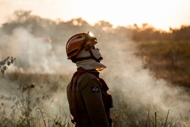 Corpo de Bombeiros aplica R$ 41,5 milhões em multas na Operação Abafa Amazônia 2022