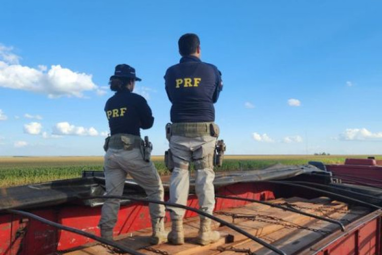 Em Sorriso-MT, PRF apreende 23,75m³ de madeira transportada ilegalmente
