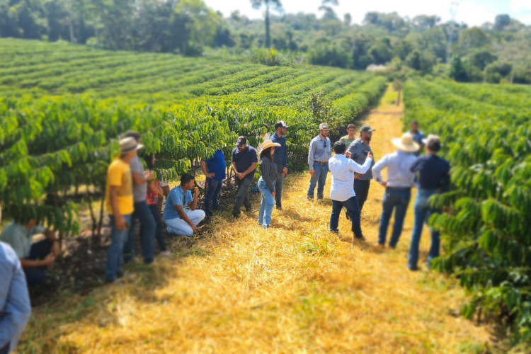 Empaer abre processo de credenciamento para pesquisa, assistência técnica e extensão rural