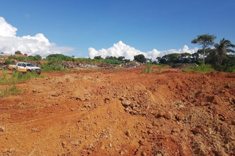 Fiscais do Indea fazem abate de gado boliviano sem procedência sanitária; 68 cabeças foram mortos