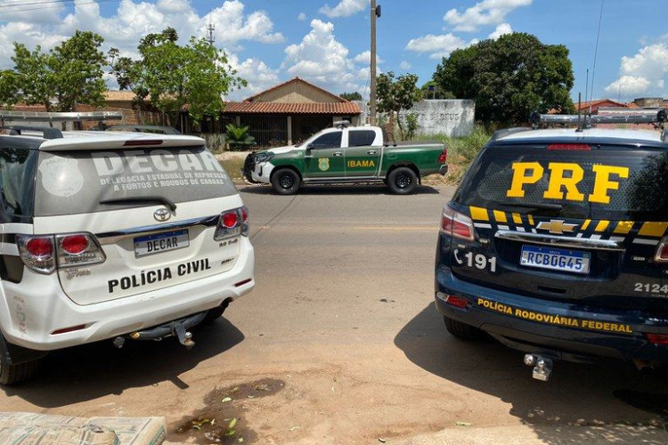 Força tarefa entre PRF, Polícia Civil e IBAMA apreende quase duas toneladas de agrotóxicos