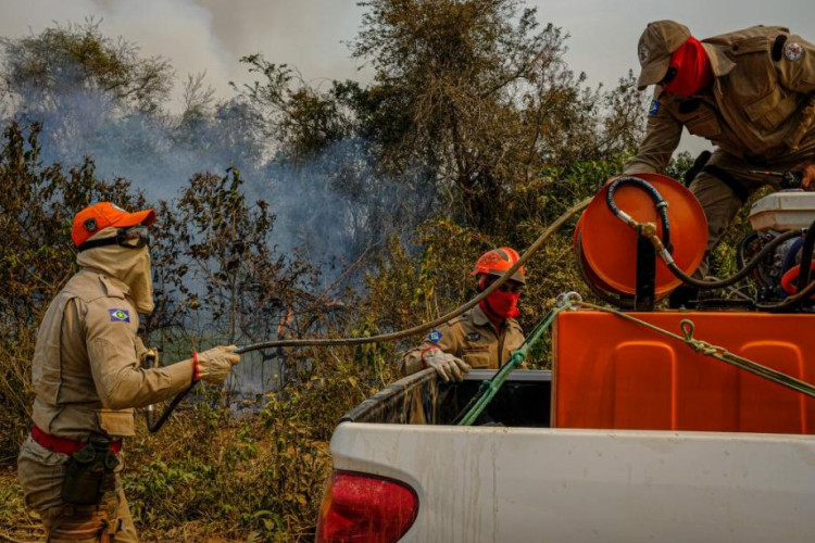 Governo de MT investe R$ 73 milhões em combate aos incêndios florestais e antecipa período proibitivo do fogo