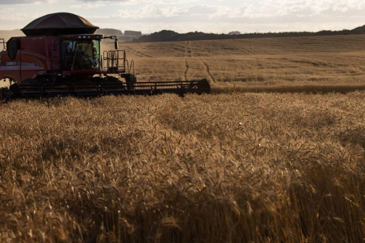 Governo fixa ações para avaliar importação de produtos agropecuários