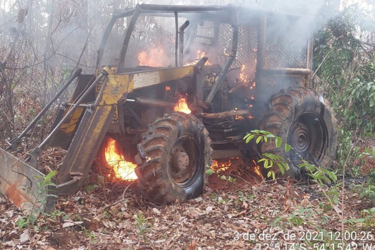Ibama flagra exploração ilegal de madeira em terra indígena e assentamento em MT