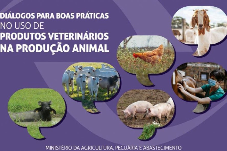 Indea-MT lança campanha de boas práticas de uso de produtos veterinários