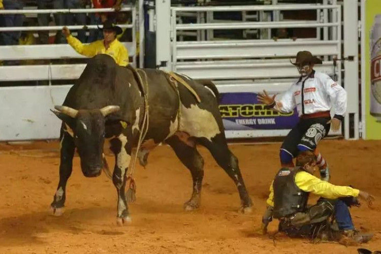 Justiça proíbe realização de rodeios em Minas Gerais