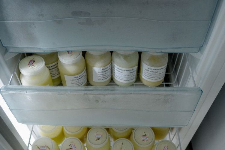 Mães lactantes enlutadas podem doar leite, reforça a Anvisa