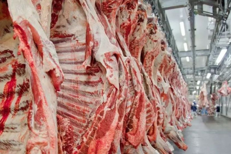 Marfrig oferece 25 vagas de emprego na unidade de Tangará da Serra, no Mato Grosso