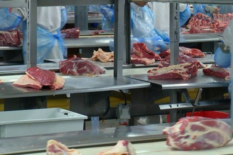 Marfrig oferece 50 vagas de emprego na unidade de Pontes e Lacerda, no Mato Grosso