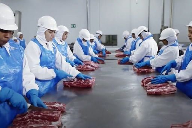 MARFRIG OFERECE 58 VAGAS DE EMPREGO EM PONTES E LACERDA, NO MATO GROSSO