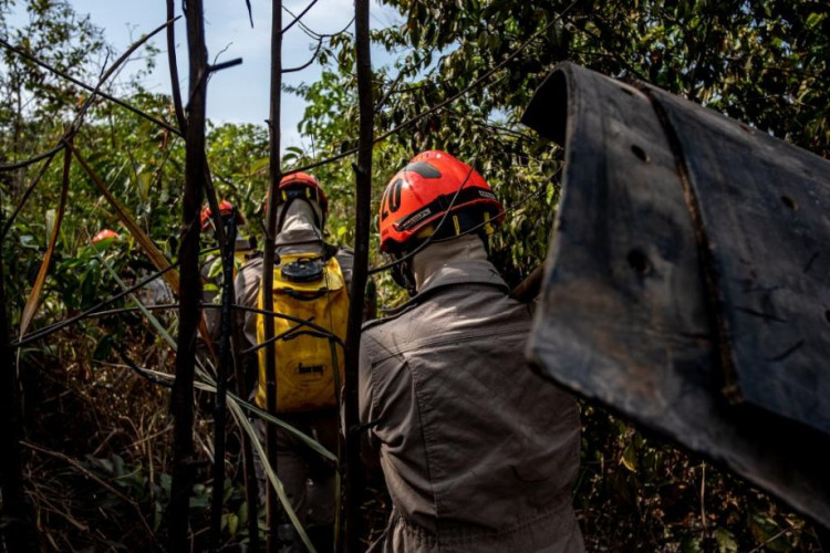 Mato Grosso reduz 85,8% focos de calor no Pantanal nos primeiros cinco meses
