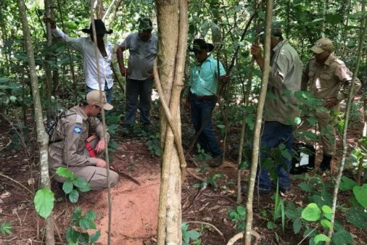 Morador é resgatado após ficar cinco dias perdido em mata em MT