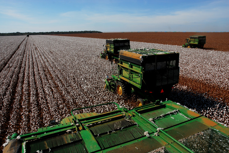 MT concentra 26 dos 50 municípios do país com os maiores valores de produção agrícola