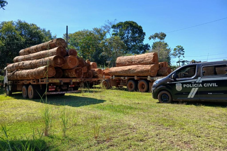Operação da Polícia Civil apreende cargas ilegais de madeiras em duas empresas em MT
