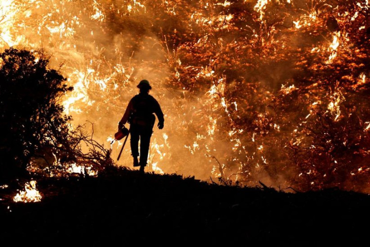 Peritos da ONU alertam para aumento de incêndios florestais