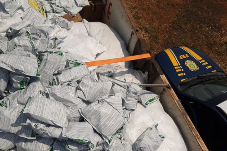 Polícia apreende 2 toneladas de agrotóxicos do Paraguai em MT