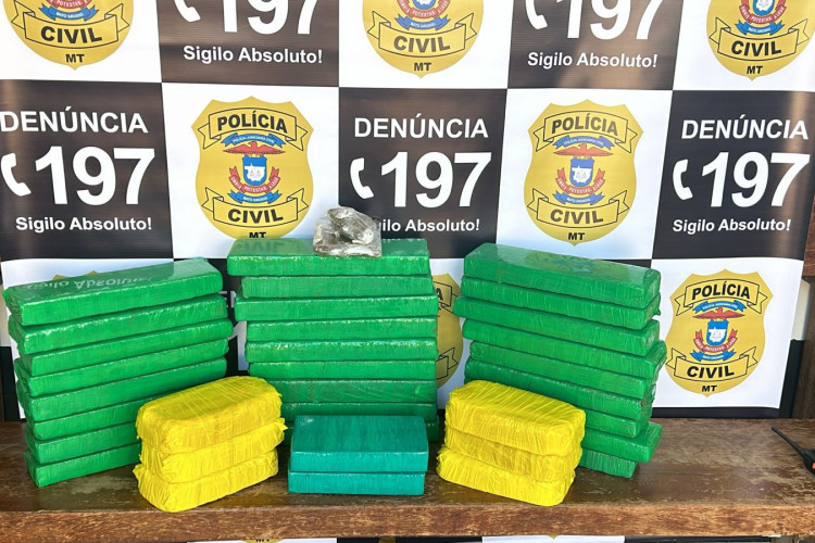 Campo Novo do Parecis: Polícia Civil apreende maconha, pasta base e cocaína que eram transportadas em veículo na BR-364