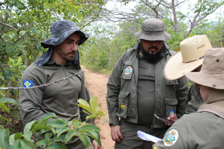 Sema-MT capacita servidores sobre classificação de espécies botânicas do Cerrado