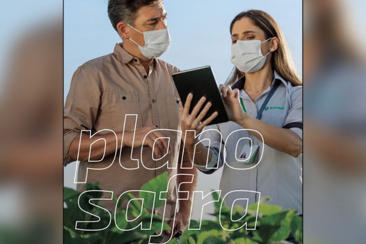 Sicredi disponibiliza R$ 38,2 bilhões para safra 2021/2022