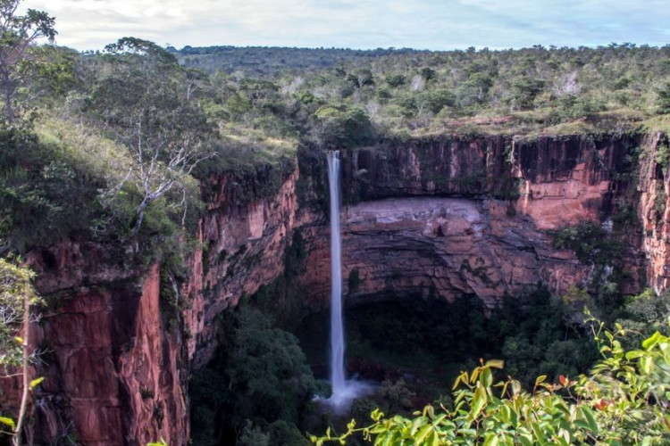 Três alunos desaparecem durante excursão escolar e um deles é encontrado morto em MT