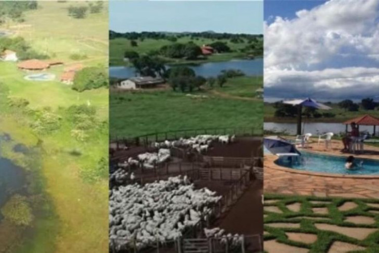 VENDIDA: Amado Batista vende fazenda em Mato Grosso por R$ 350 milhões